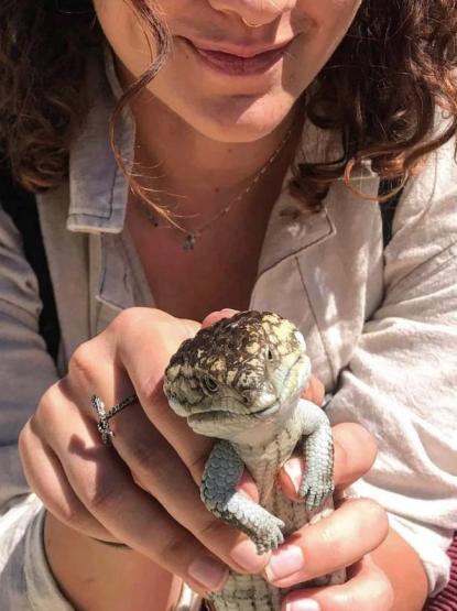 A close up image of a person holding a lizard