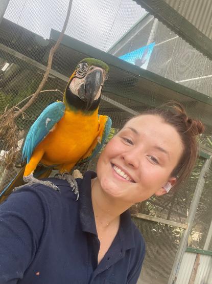 A person with brown hair and a navy blue work shirt takes a selfie with a large blue and yellow macaw bird on her shoulder.