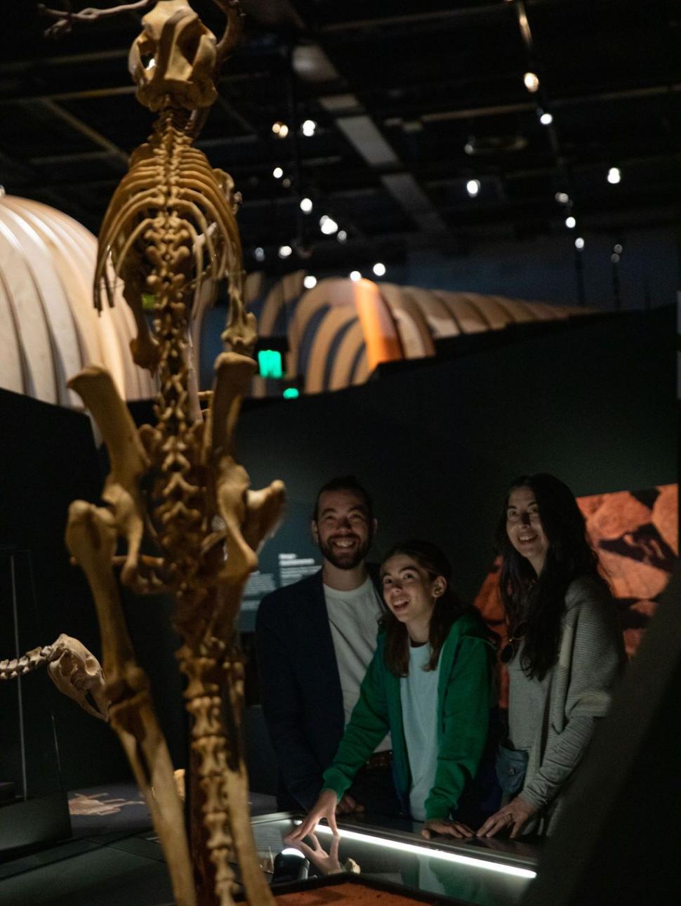 A family looking at a dinosaur skeleton in the Wold Life gallery