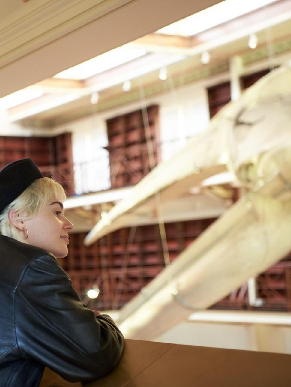 A person looking at the Museum's blue whale skeleton