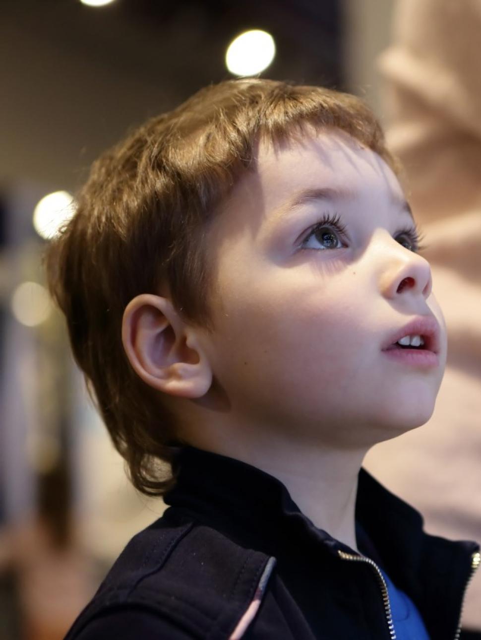 Small child looking at a Museum exhibit