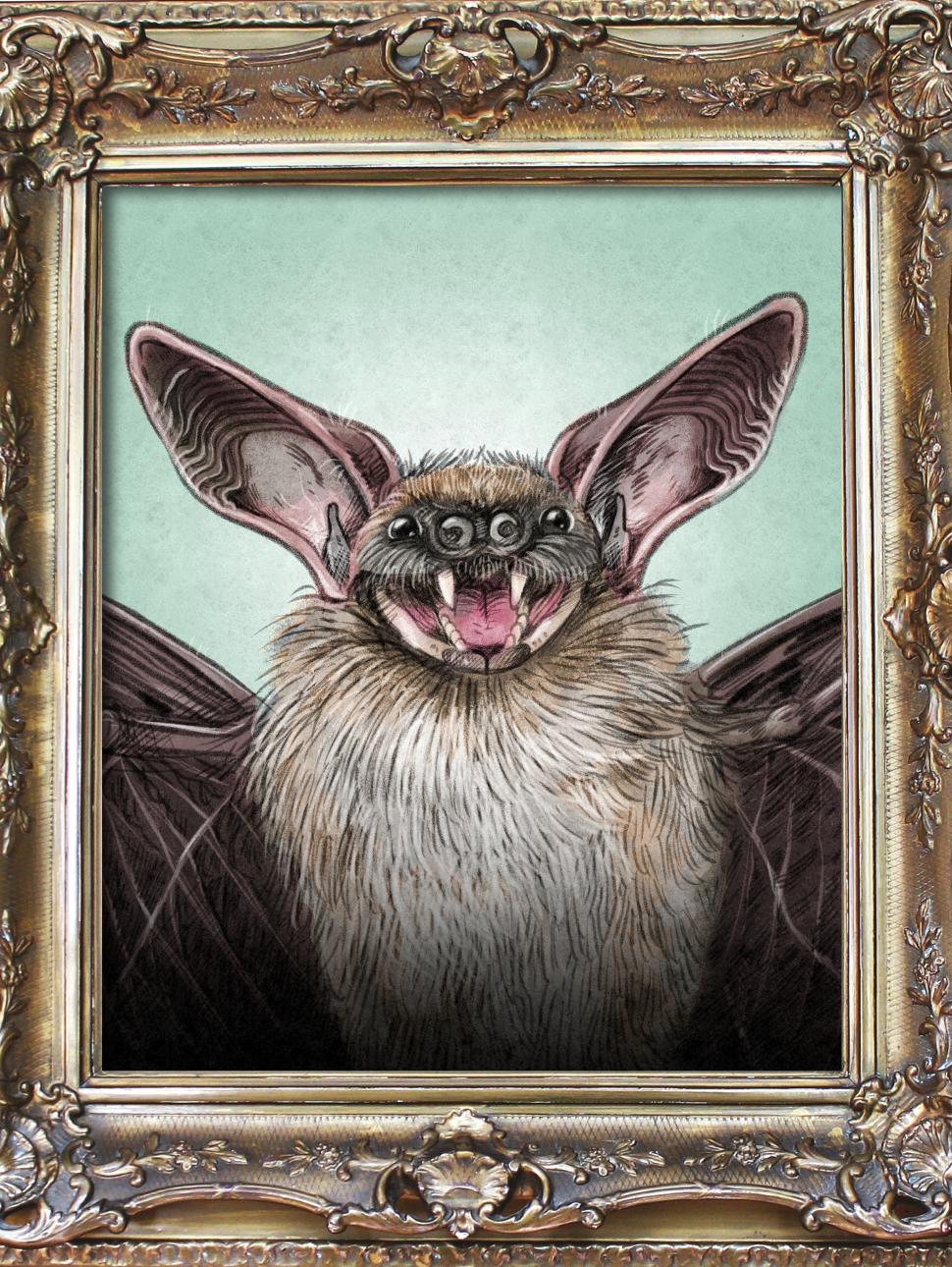 A stylised painting of a bat in an ornate frame