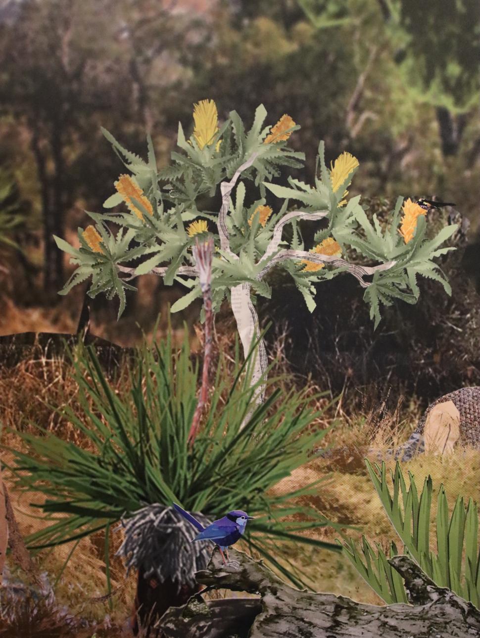 An illustration of a banksia woodland