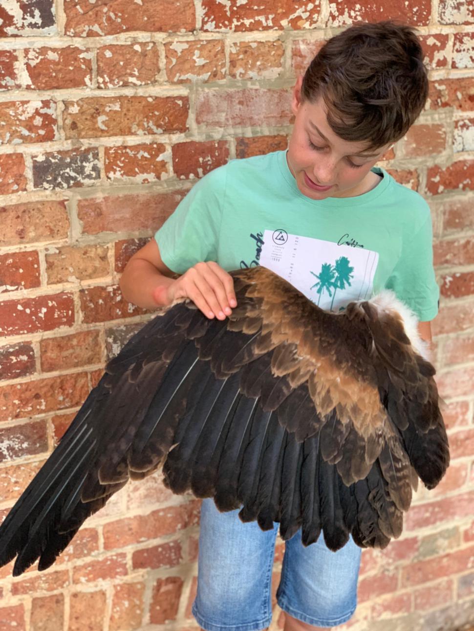 Boy holding taxidermied eagle wing