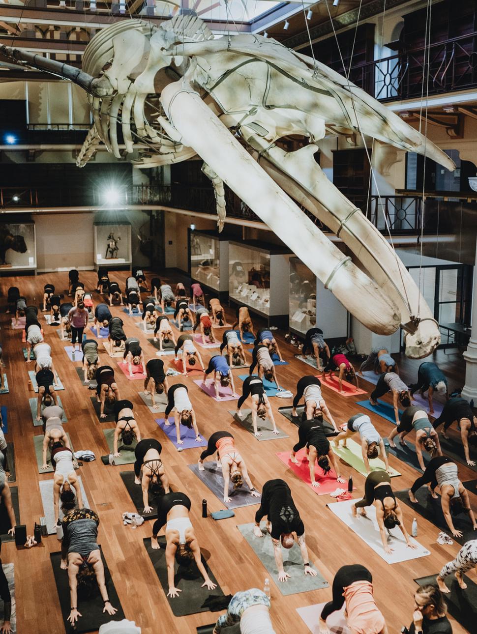 People doing yoga in Hackett Hall