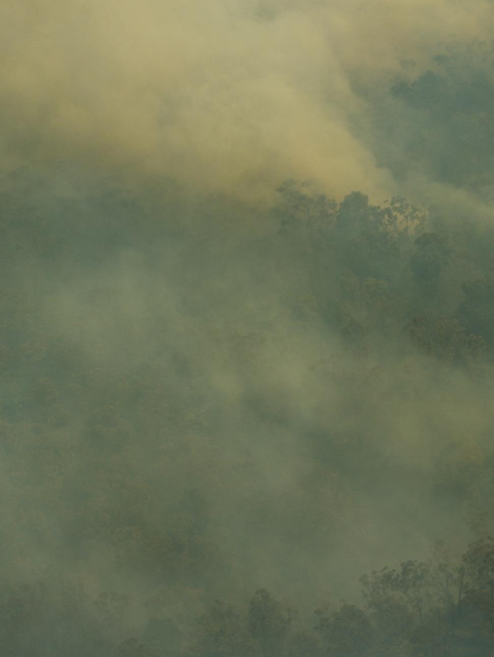 Australian bushfires with a green filter applied