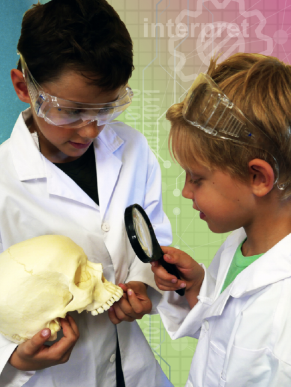 Children analysing a skull