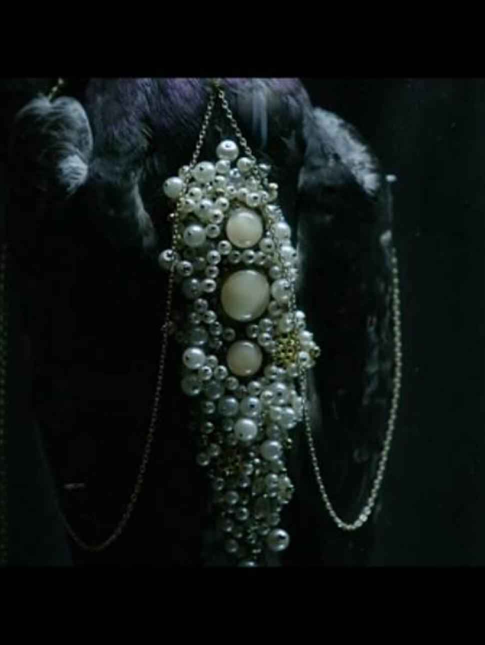 image of bird adorned with pearls