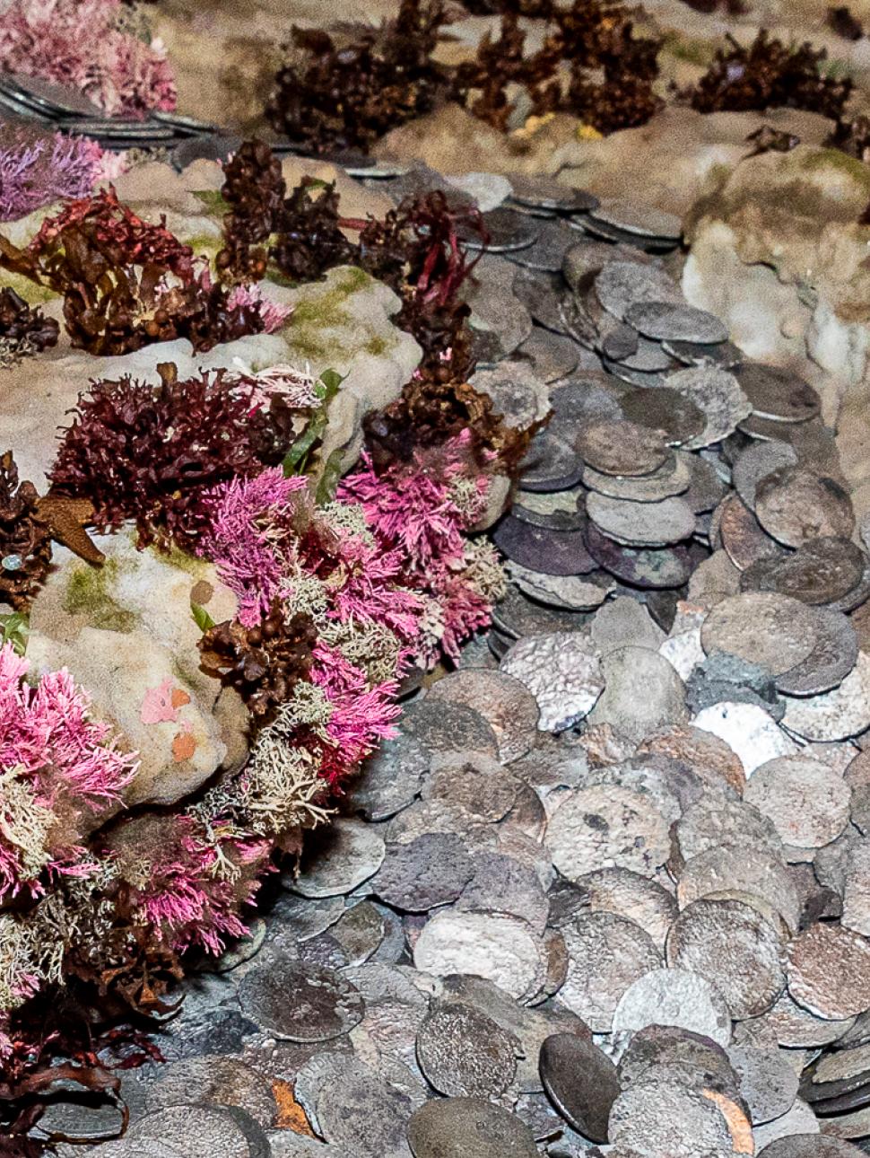 Silver coins are arranged on a bed of coral in a museum showcase