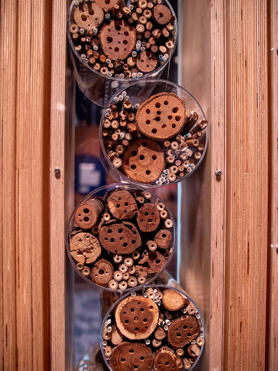 A bee hotel