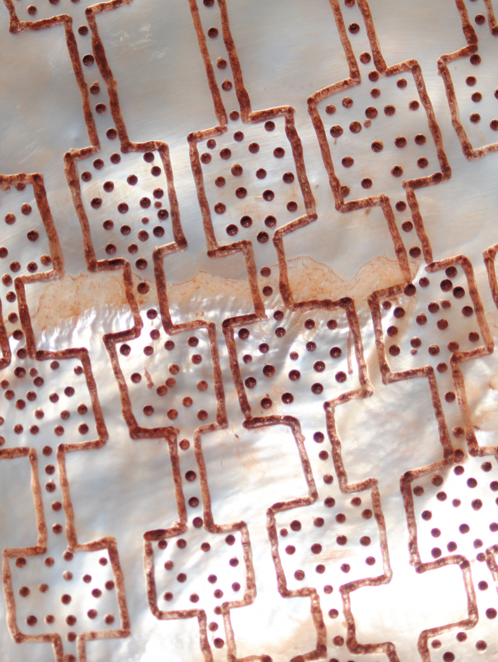 A close-up view of a decorated pearl shell