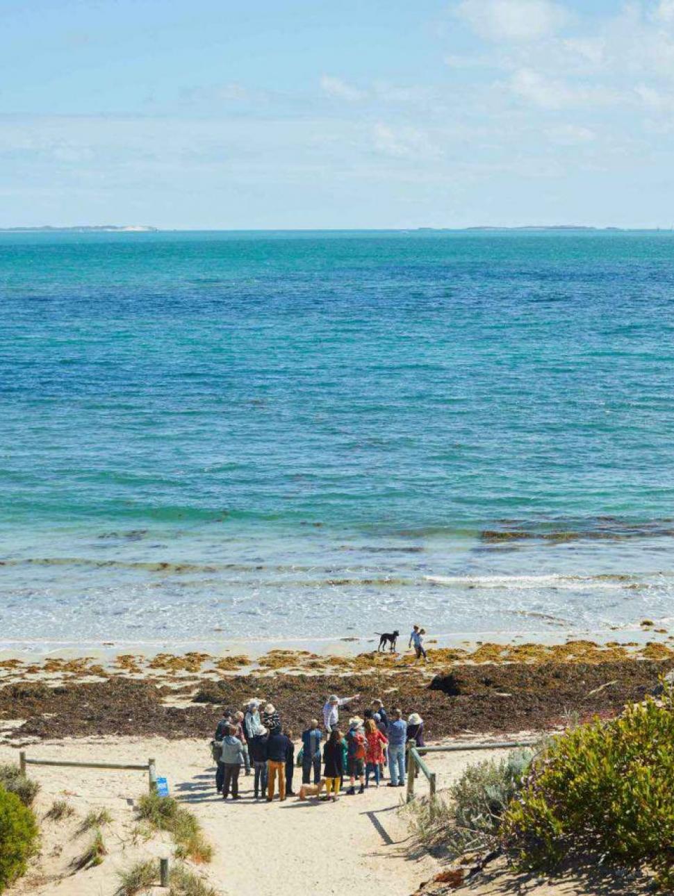The shoreline of Fremantle Port, white sand and blue water on the horizon line