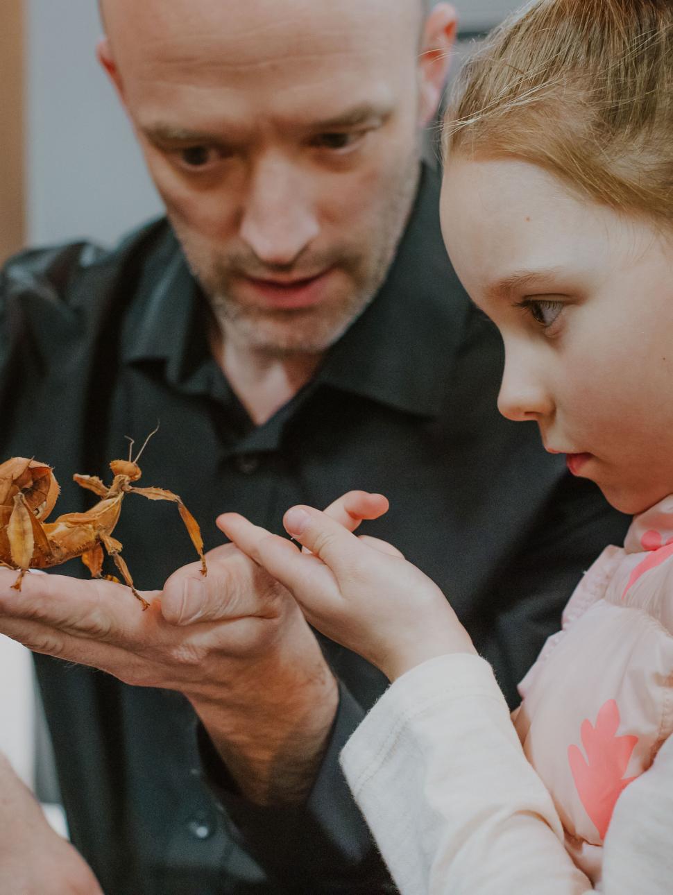 Young child views and looks at an insect with a museum staff member