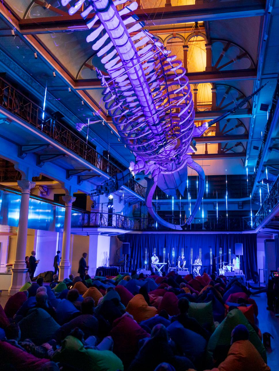 Image of coloured lights projected onto Otto the whale skeleton with audience seated underneath and musician performing onstage