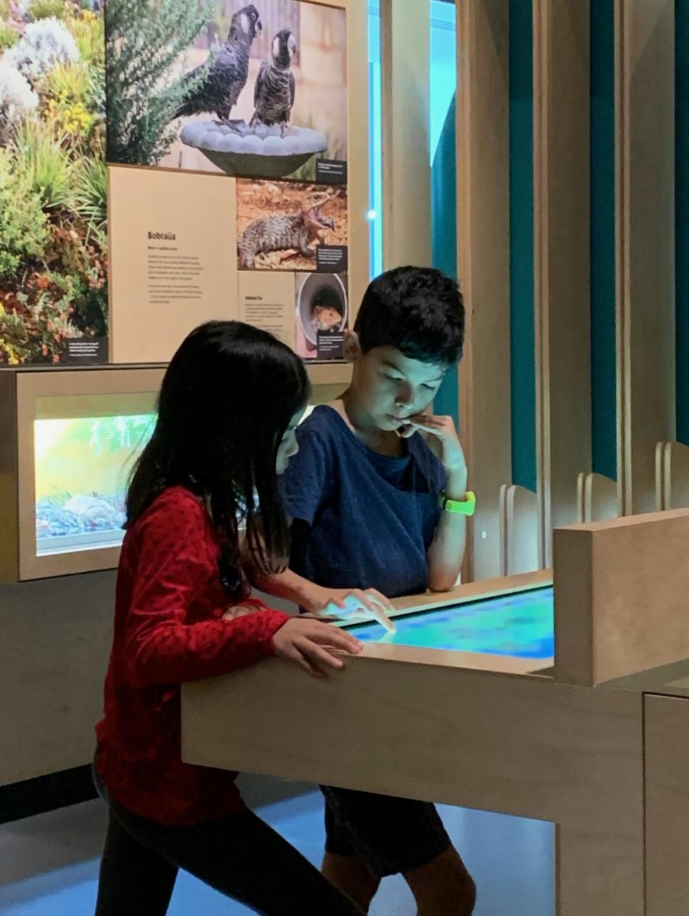 Children engaging with museum exhibit