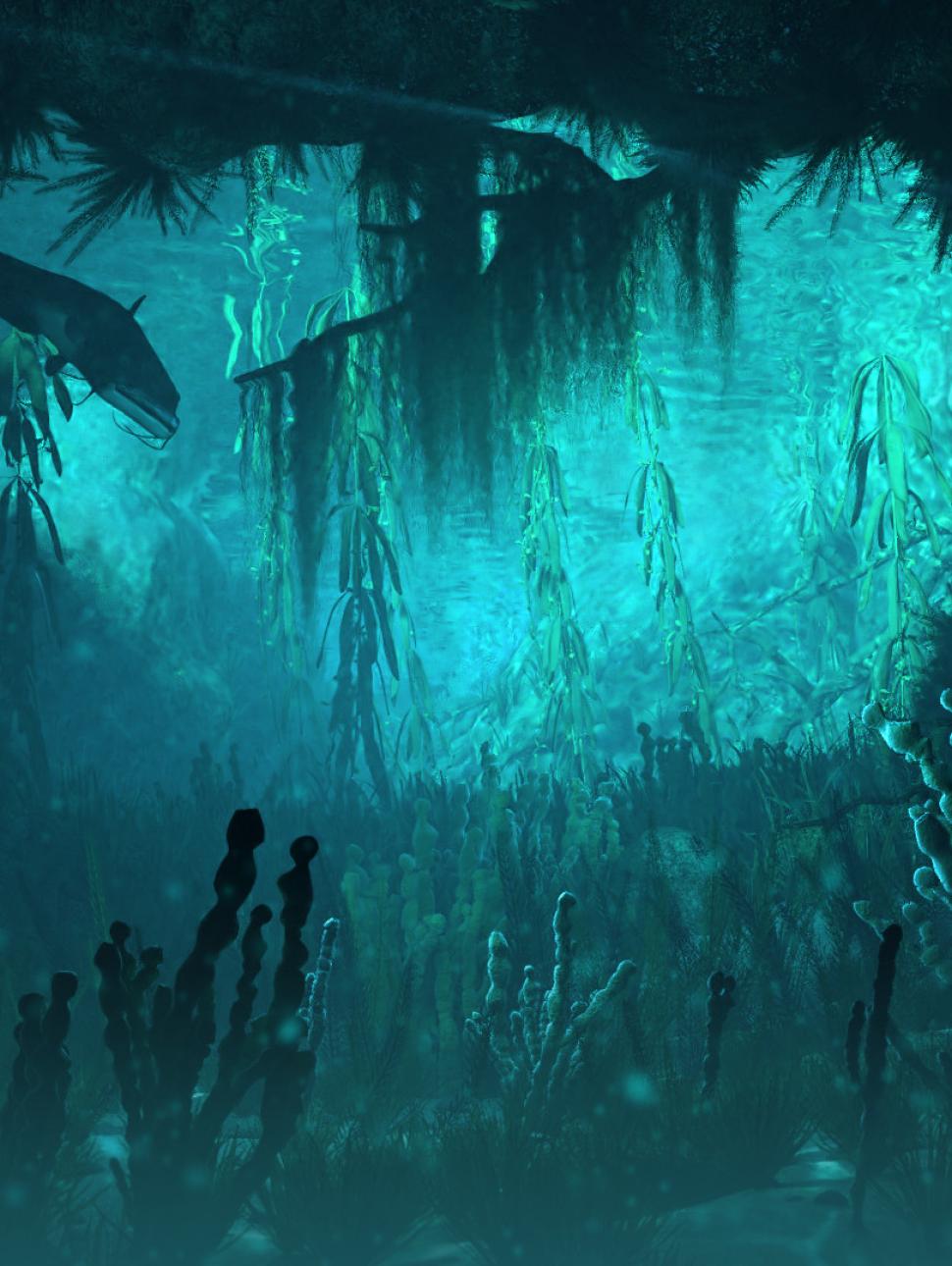 This image shows an underwater scene looking through plant life