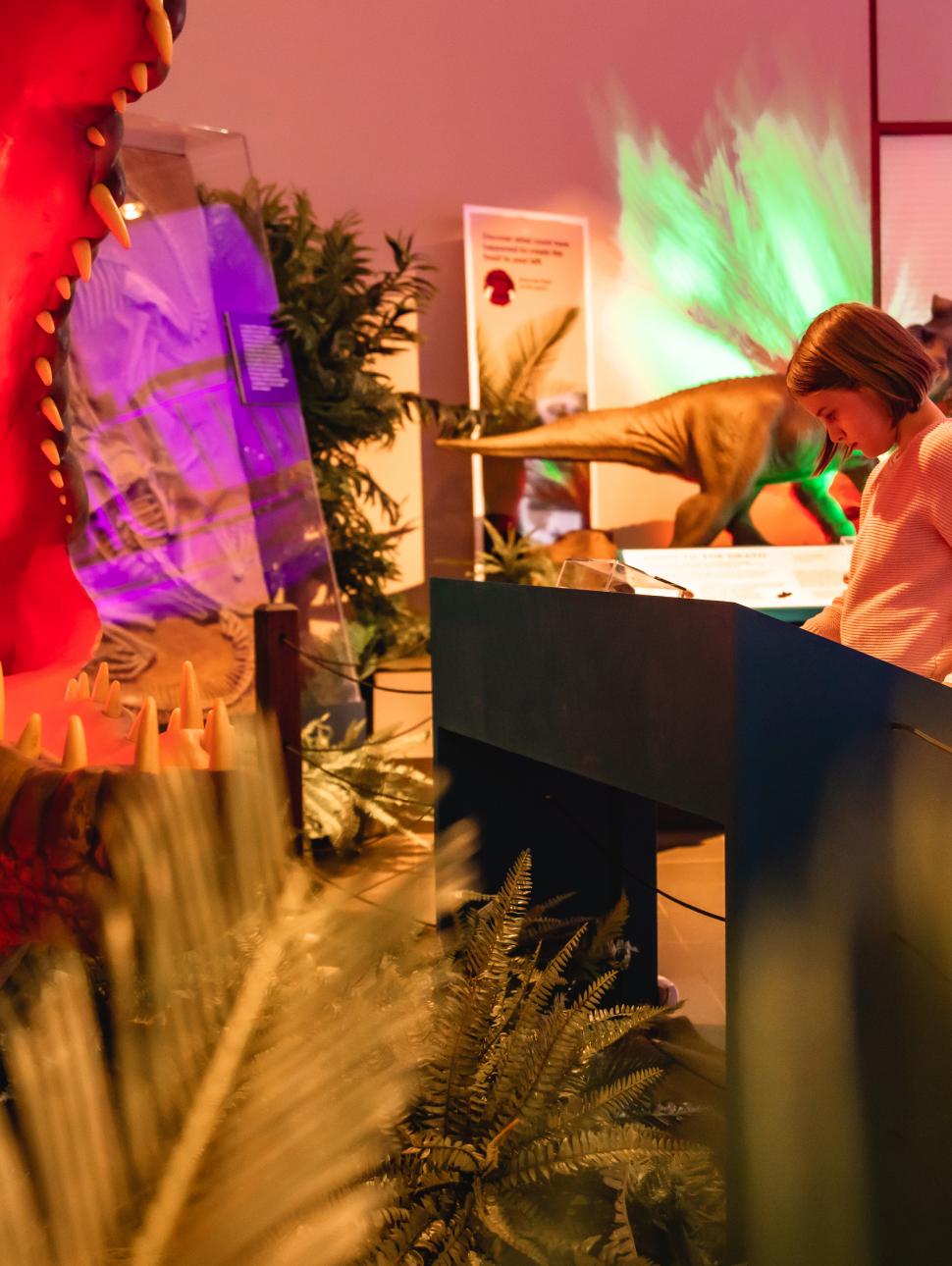 A child reading in front of a dinosaur exhibition