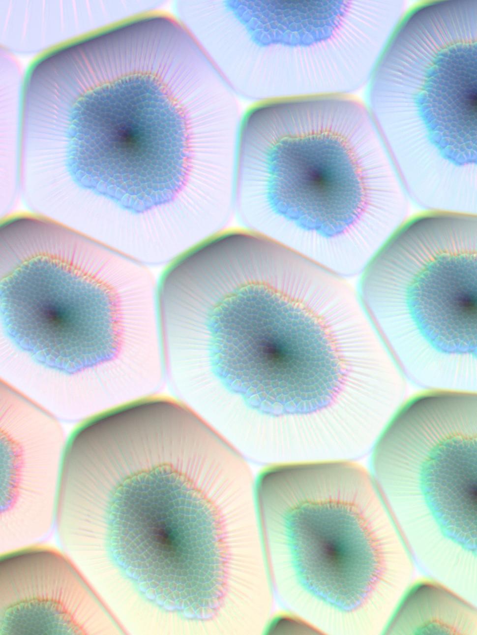 Image of a colour cell pattern projected on a digital screen close up