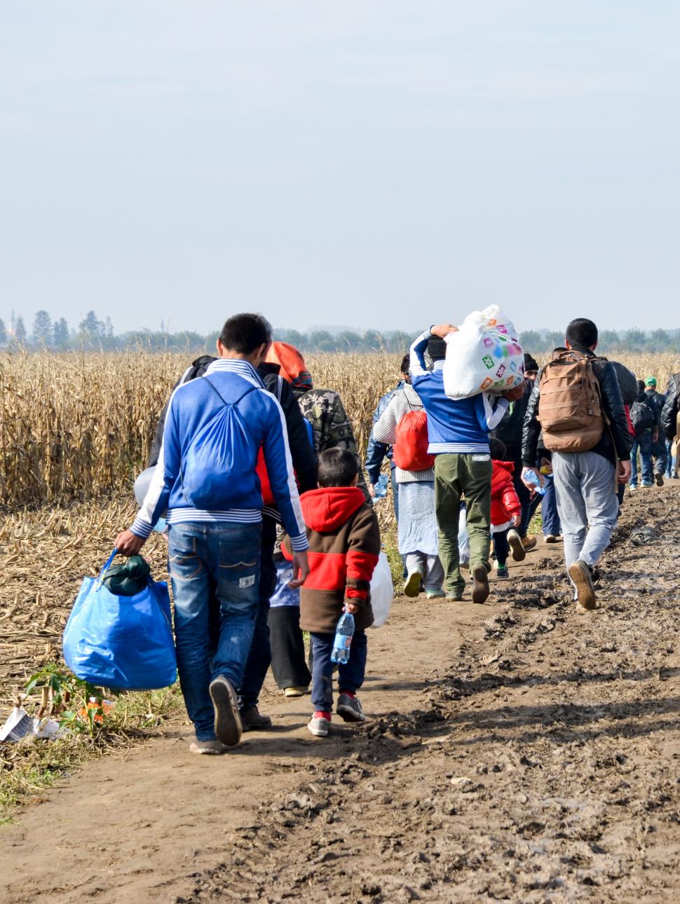 Families seeking refuge walking across fields
