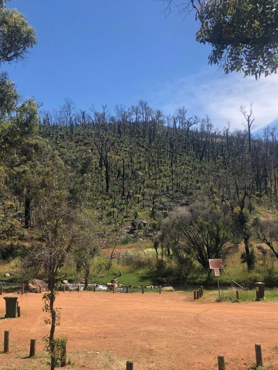 Wooroloo bushfires