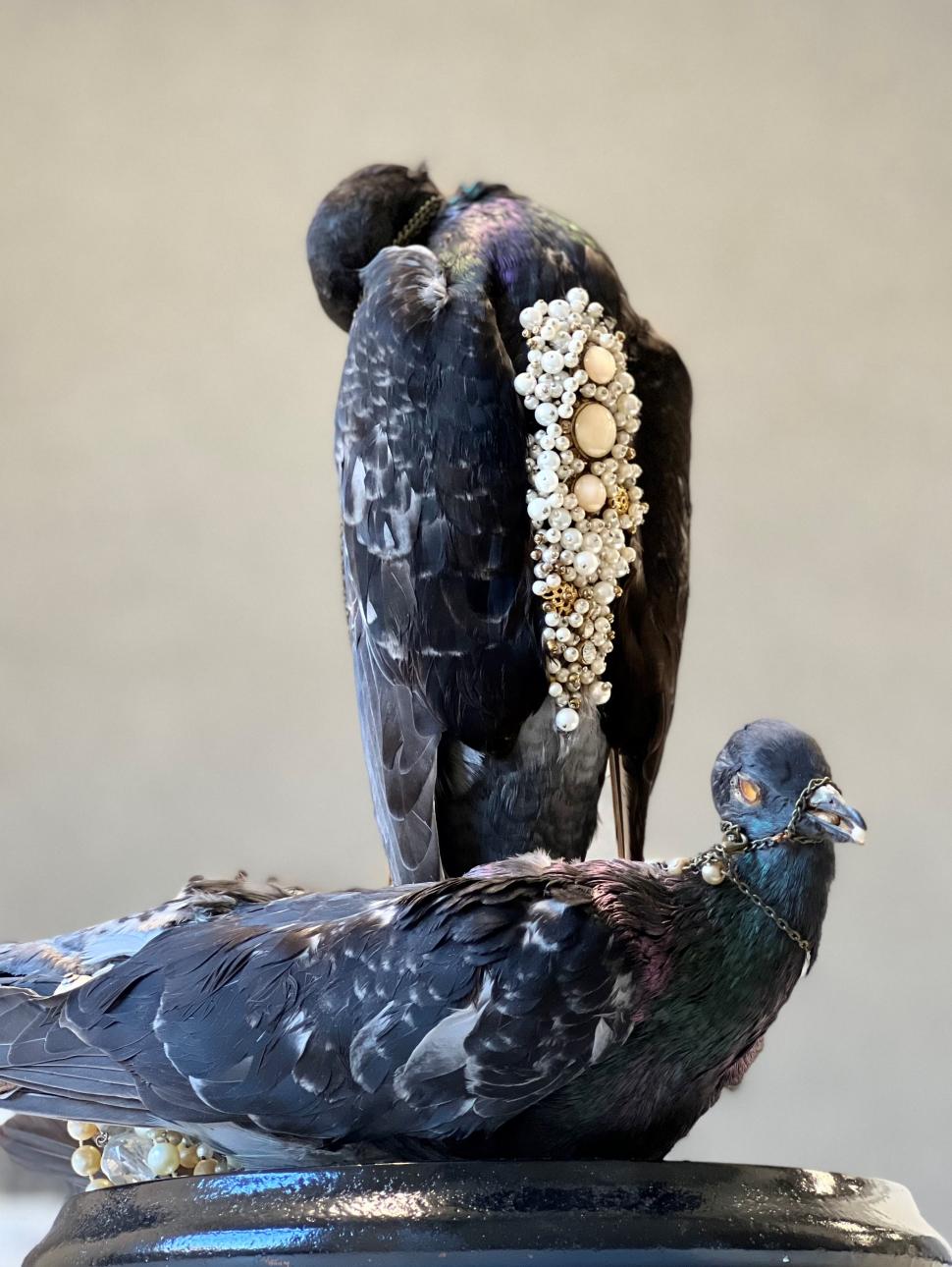 Taxidermied bird with pear necklace