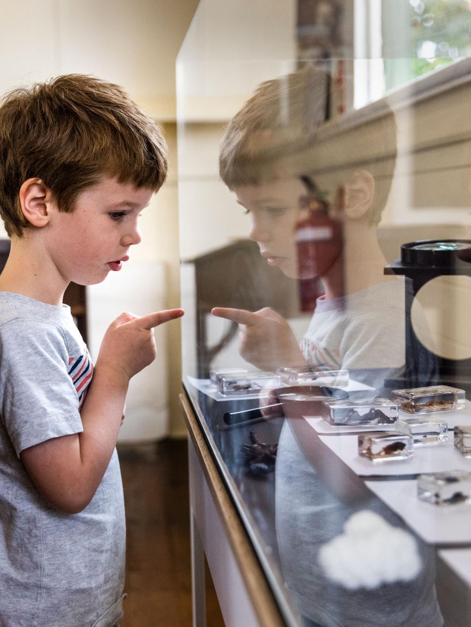 Woman and young boy point and look into a display case