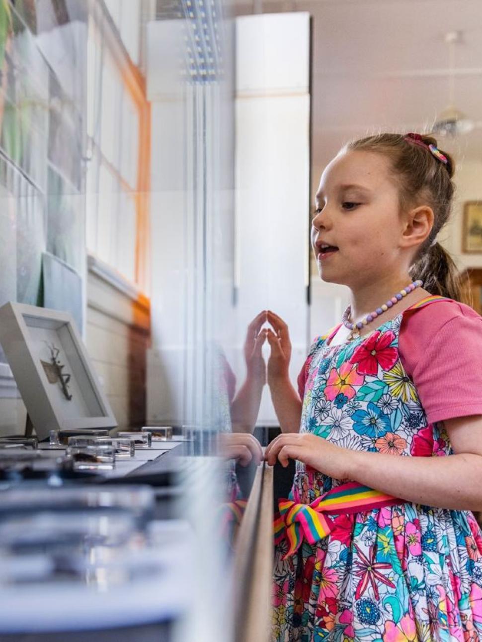 An image of a child looking through a glass cabinet. 