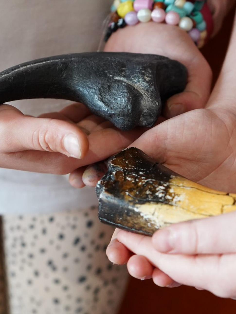 children hold museum objects in their hands