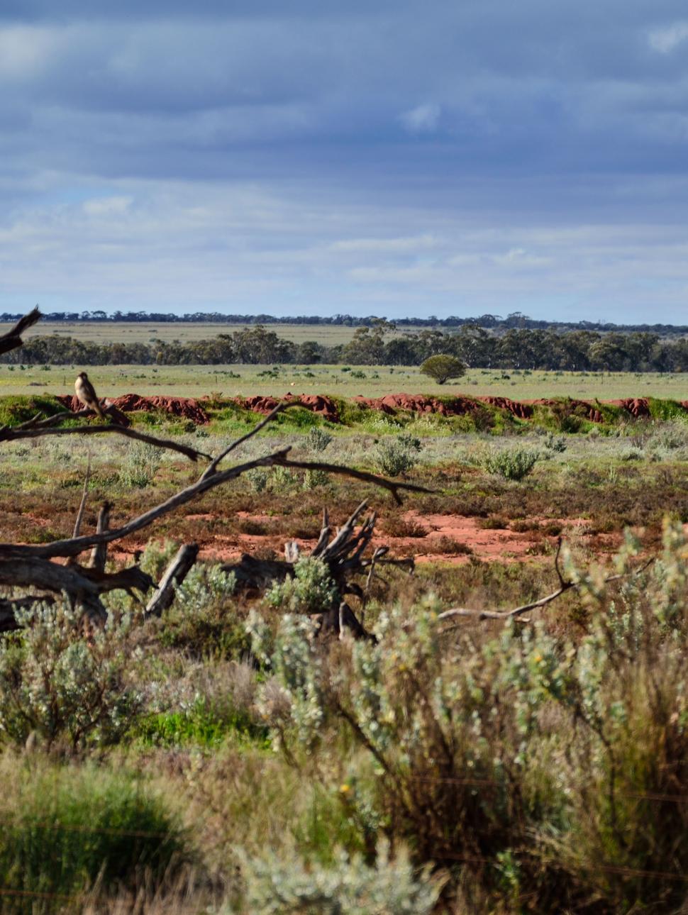 Image of a field ft. Killen Gutha Salinity 