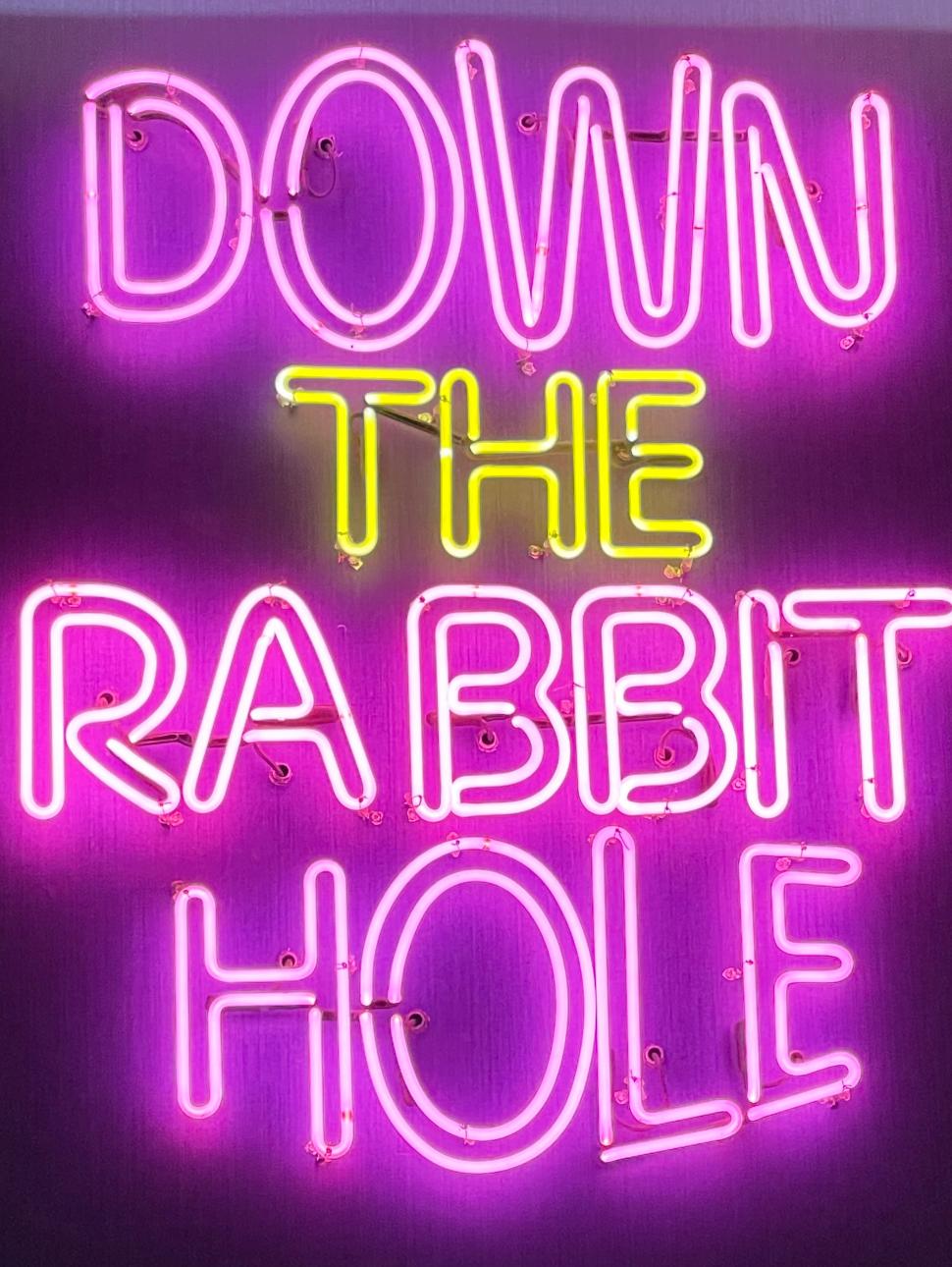 Down the rabbit hole neon sign