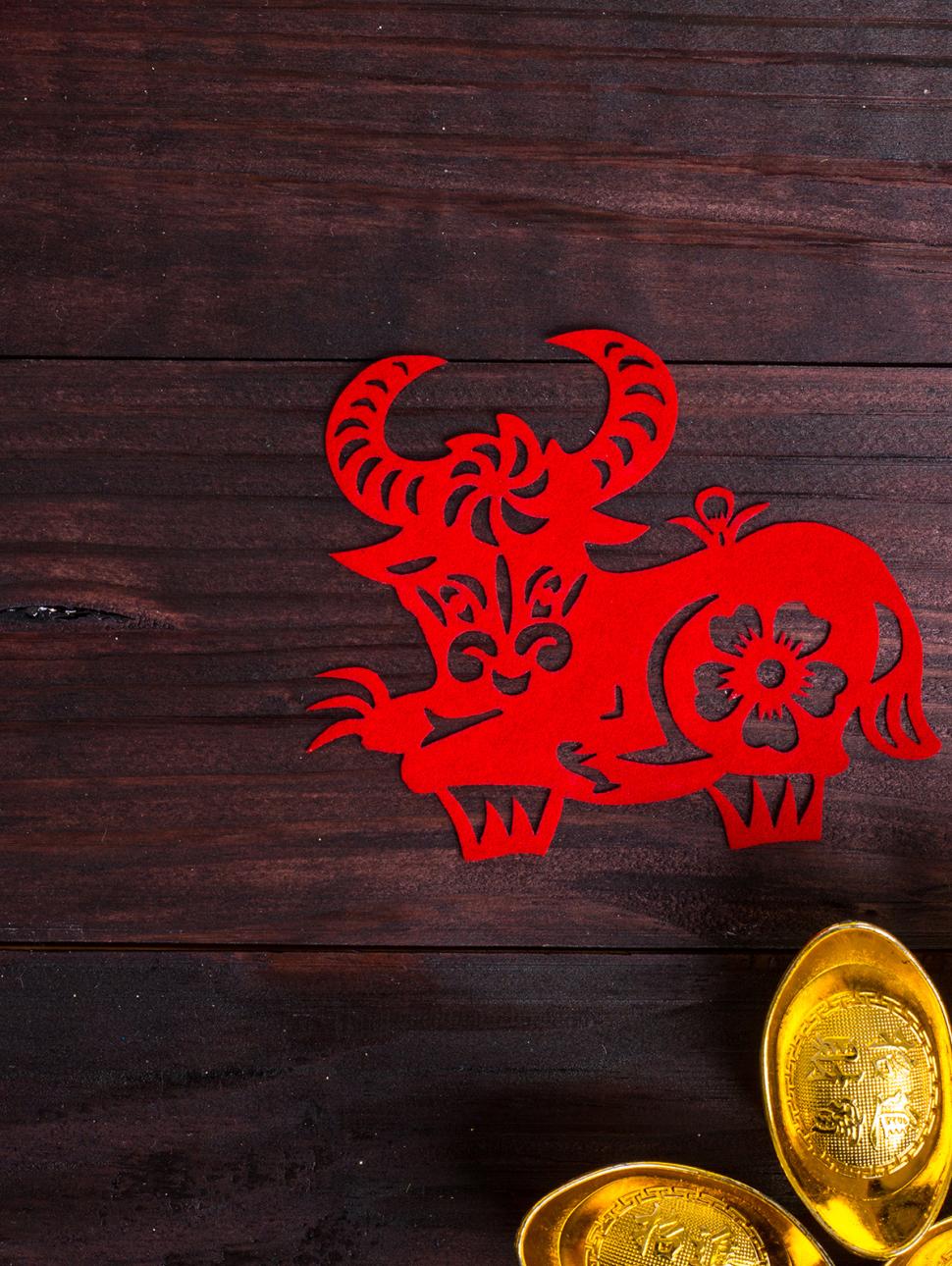 Papercut animals