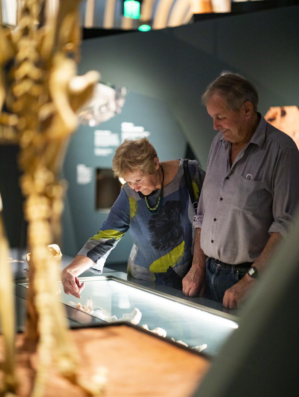 Two older vistors looking at a skeleton cast upclose with a green wall behind them