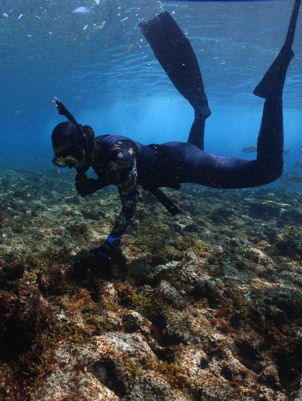 Diver underwater with large artefact on sea floor