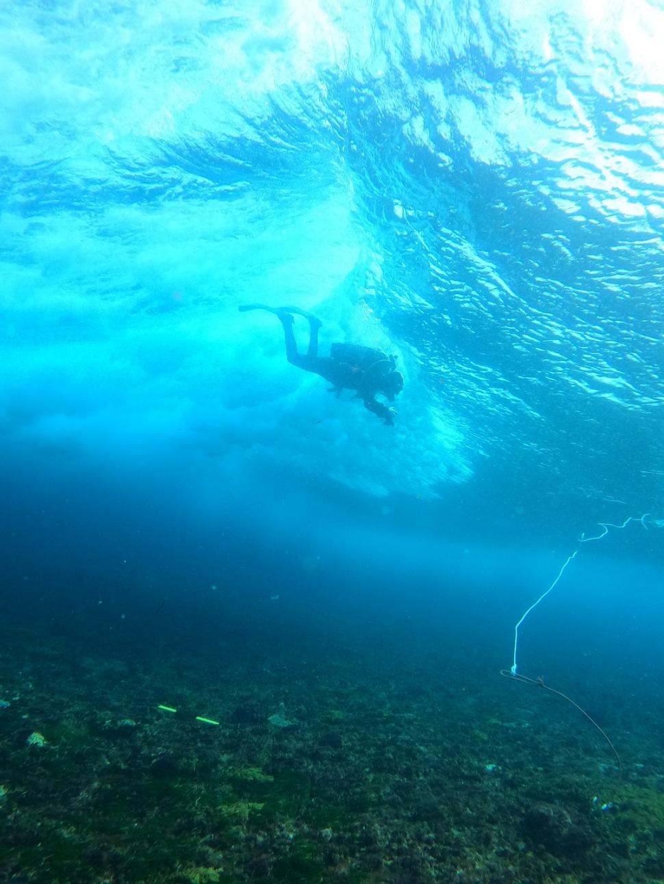 Underwater ocean image with a diver approaching the sea floor 