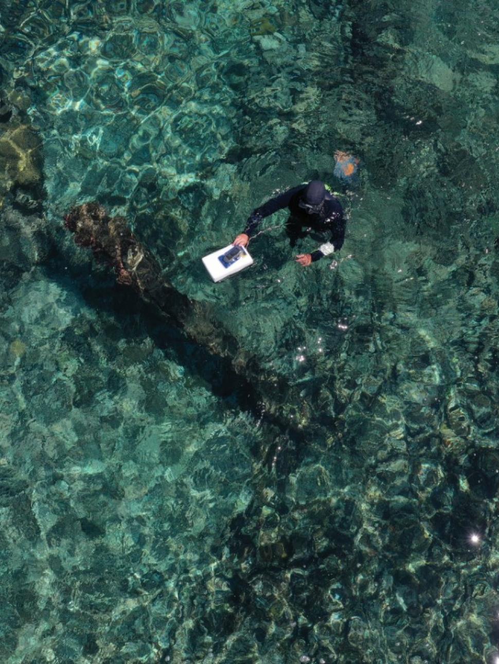 aerial shot of ocean with a diver in the water and shadows of objects in the water