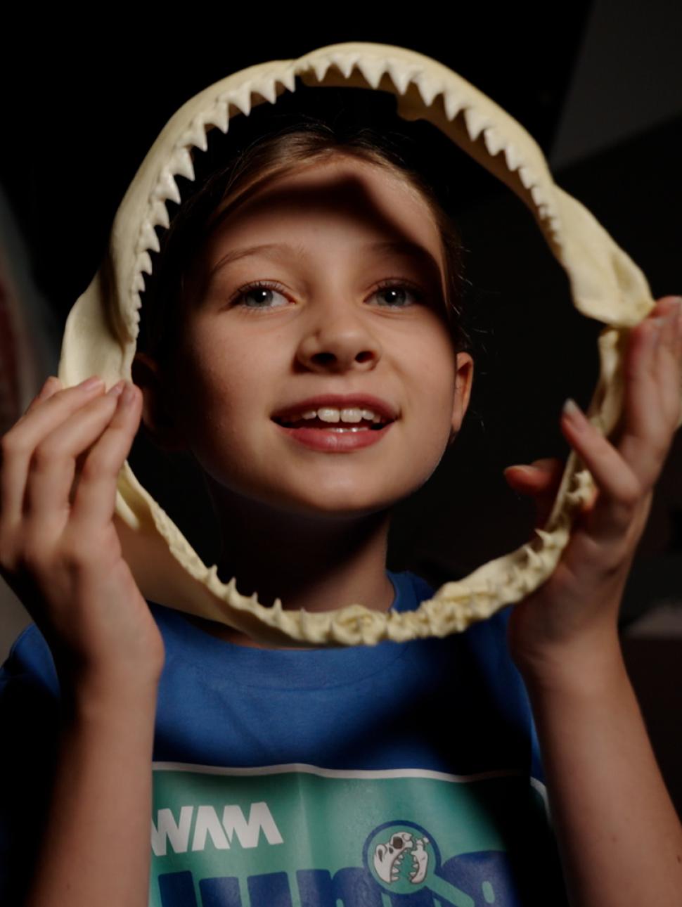 Young child holds up a shark jaw in front of their face. a large shark is in the background