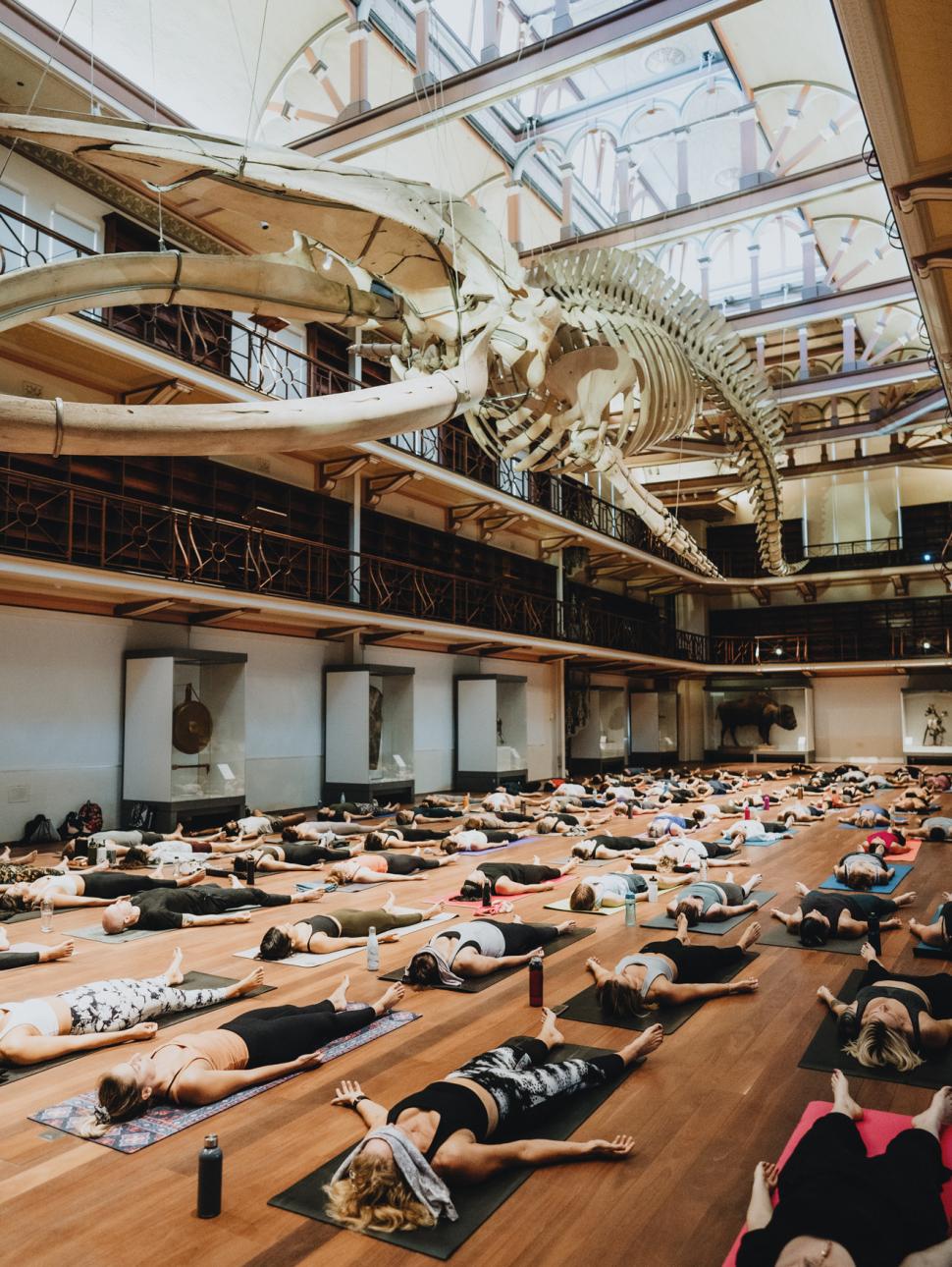 Yoga at the Museum