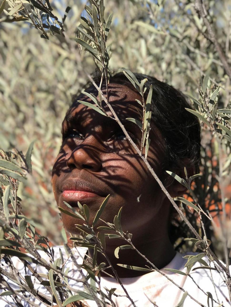 a person is standing in among native trees looking up