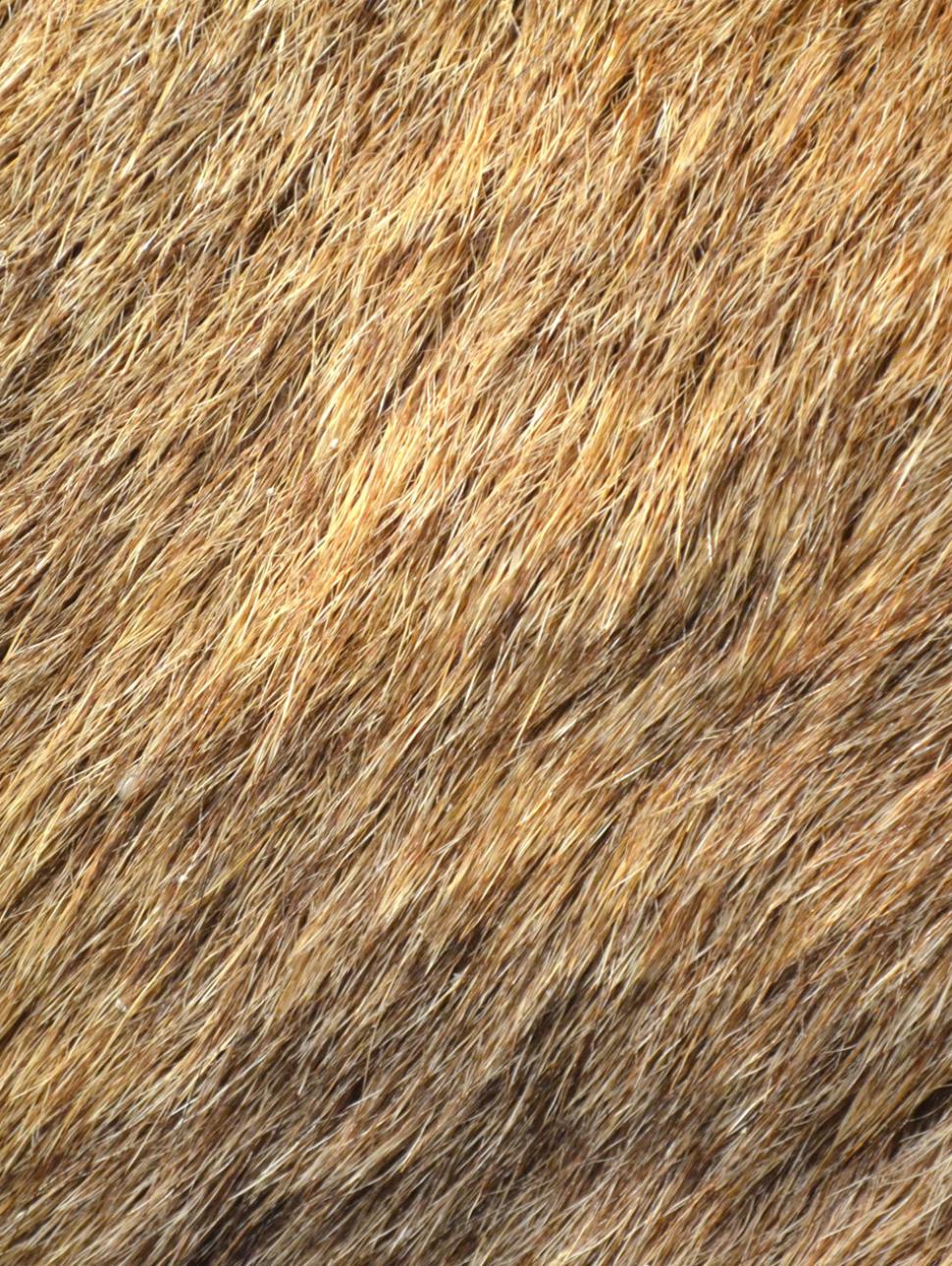 A close-up image of deer fur. The fur is a fawn colour of medium grain with black specs throughout