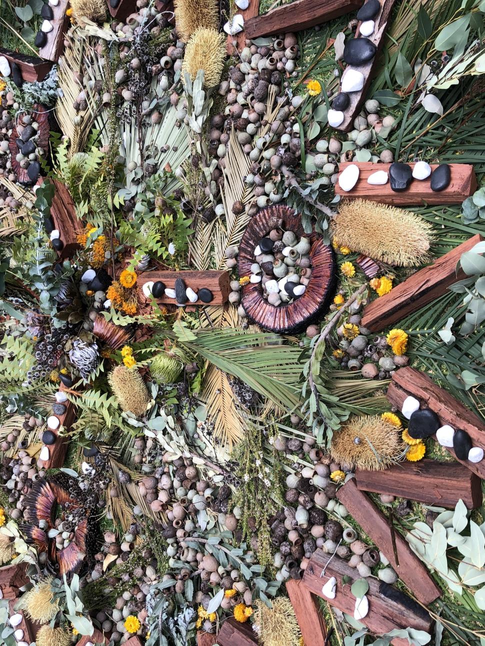 Native Australian foliage arranged in a pattern in a grass backdrop