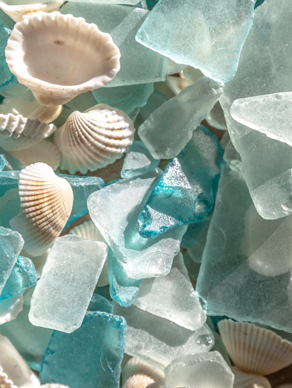 A collection of transparent blue and white sea glass fragments interspersed with small white cockle shells 