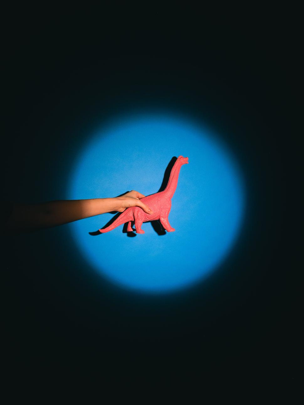 a spotlight shines on a childs hand holding a model dinosaur coloured red on a blue background wall