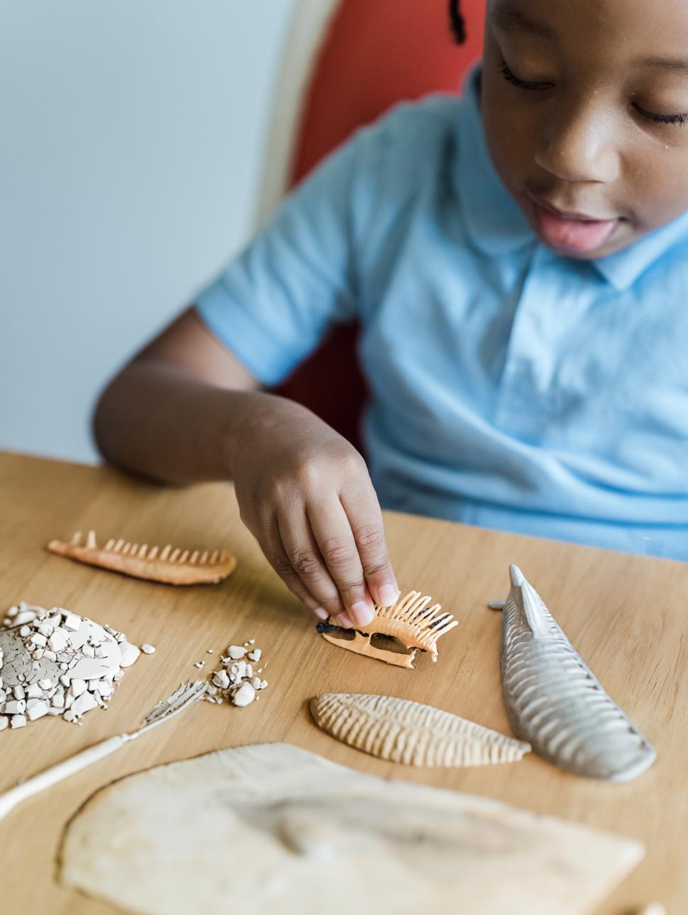 a child is holding part of a fossil with pther pieces of plaster, dust and brushes on the table