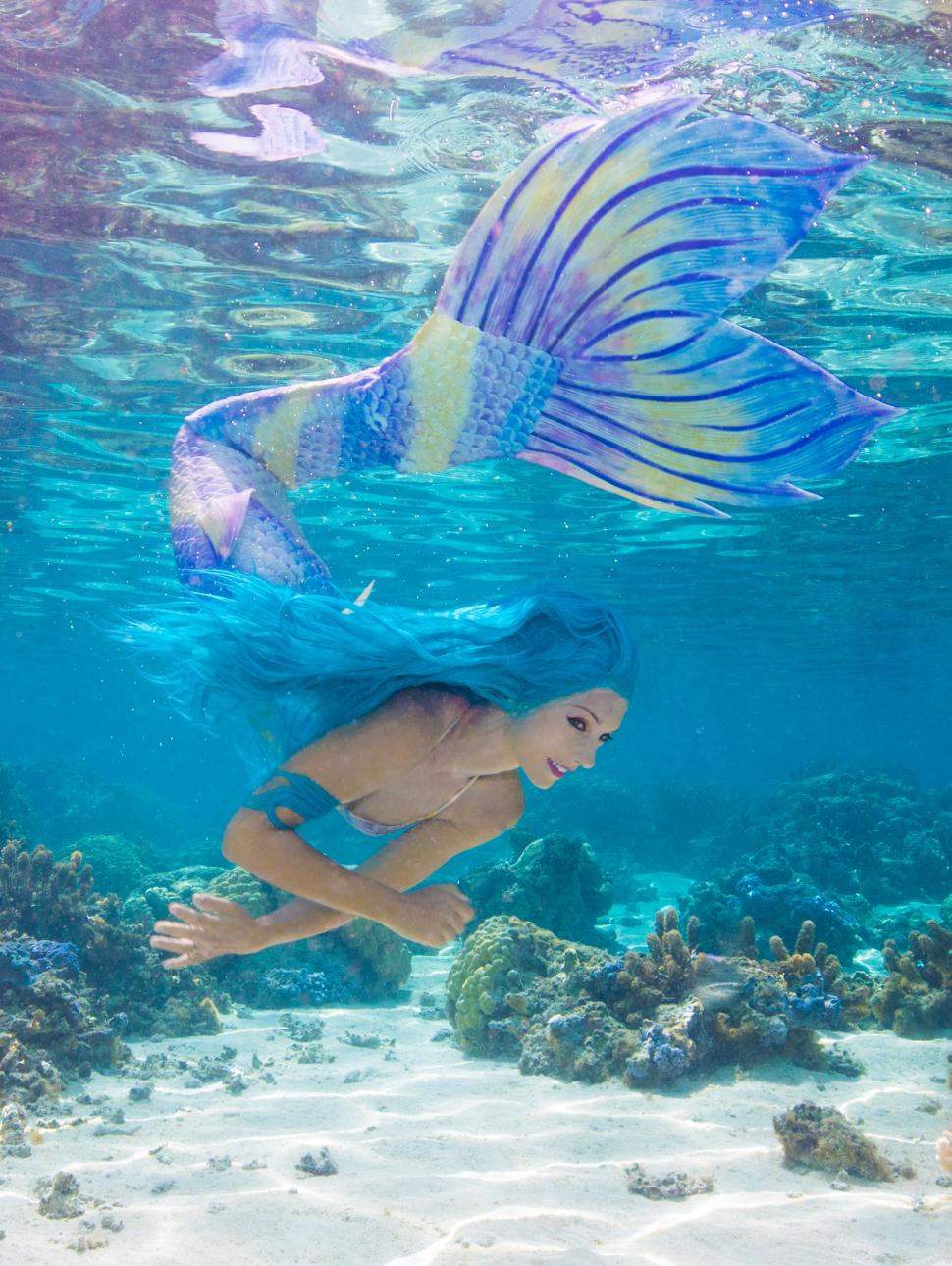 An action shot of a person dressed as a mermaid with bright long blue hair and an iridescent mermaid tail of purple yellow and blue. The person curves as though mid turn and swims towards a sandy ocean floor with colourful blue and green coral