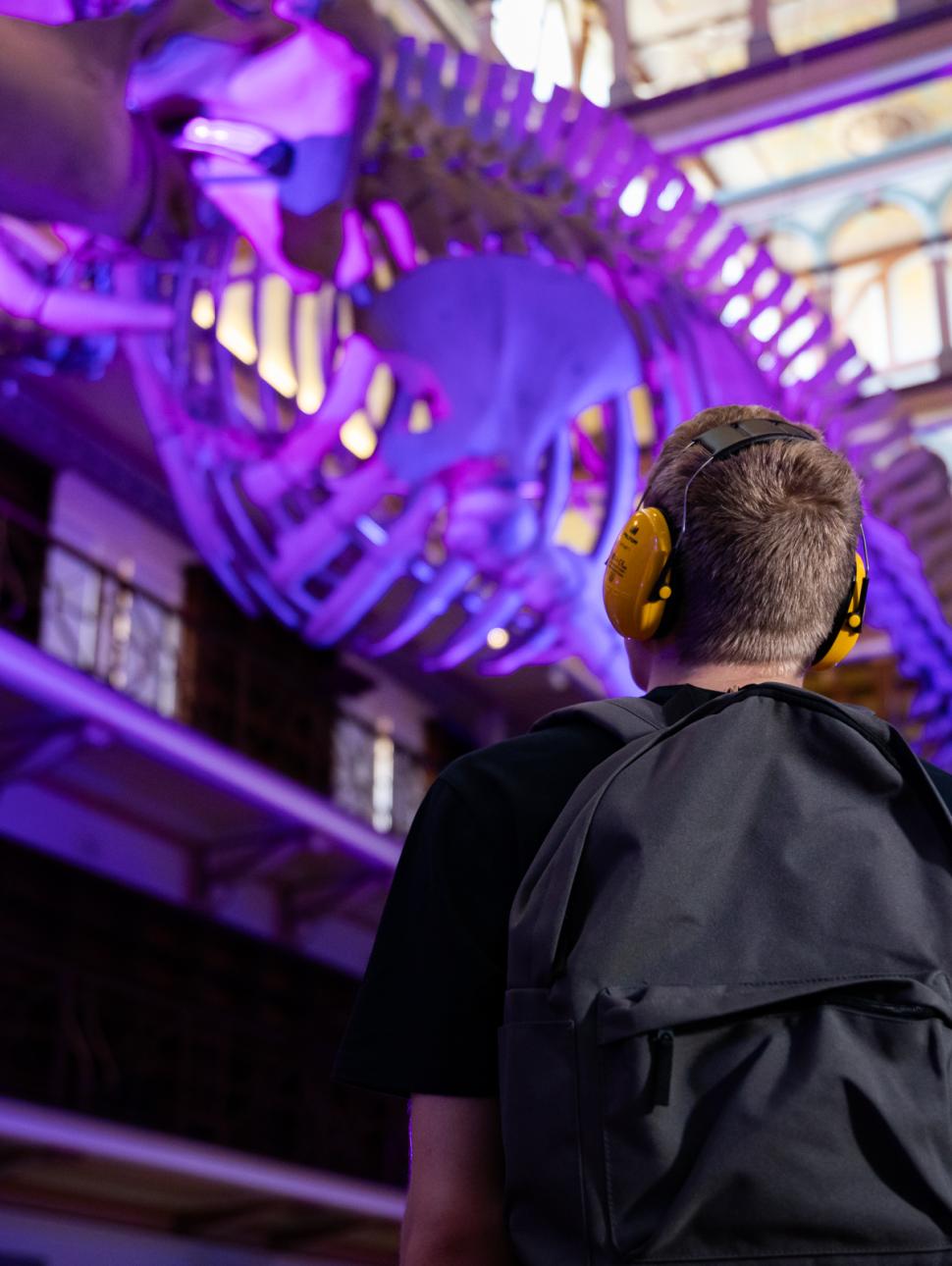 A young man gazes upwards, his attention drawn away from the camera. Above him looms the skeleton of a blue whale, illuminated by purple lights that cast an eerie glow.