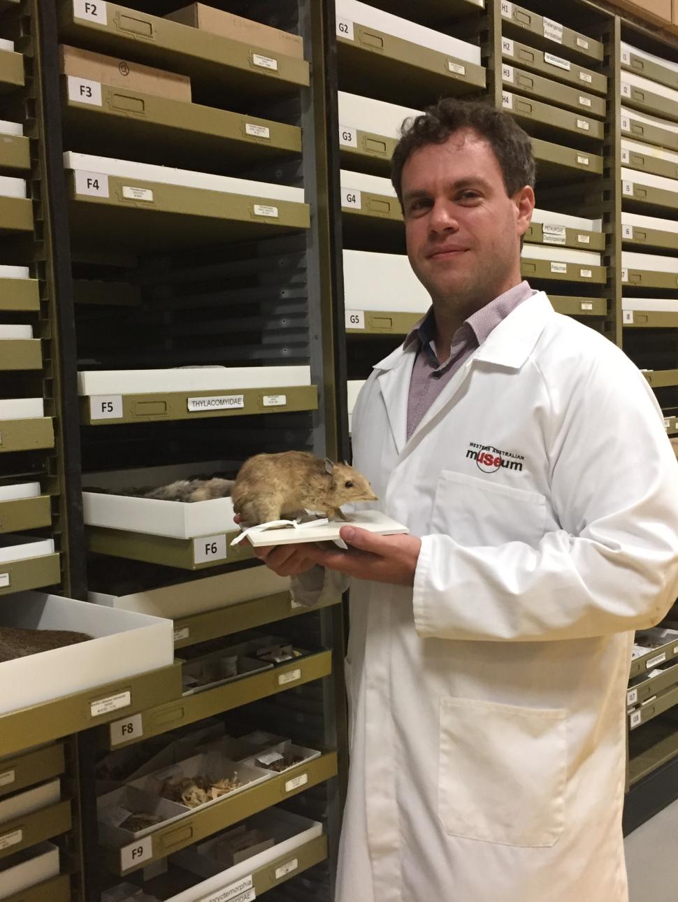 An adult person in a lab coat holds a taxidery specimen of a bandicoot
