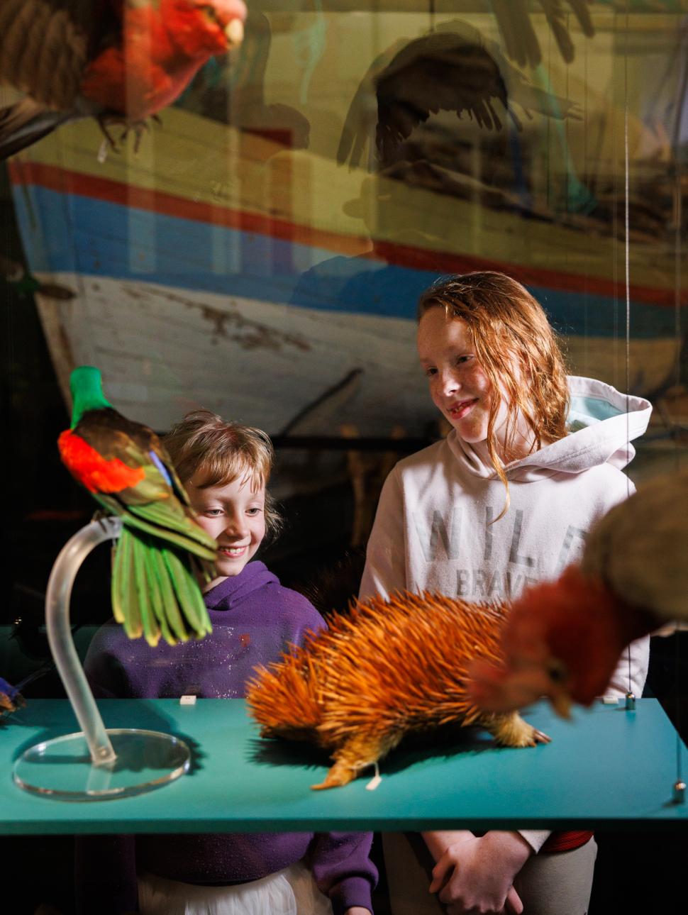 two children look at native Australian fauna taxidermy in a glass case