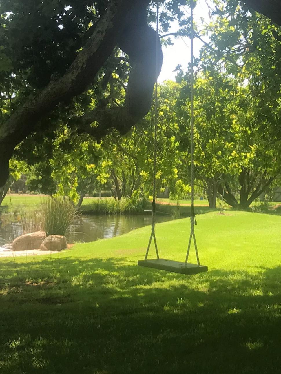 a lush garden with a swing hanging from a branch