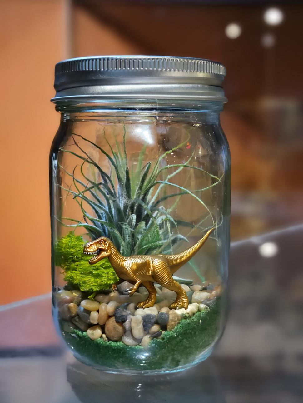 a jar wth moss and small plants with a small toy dinosaur 