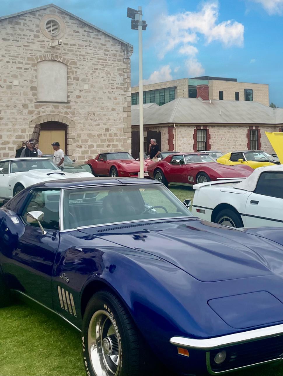 a collections of luxury cars are parked on a lawn in front of a museum building